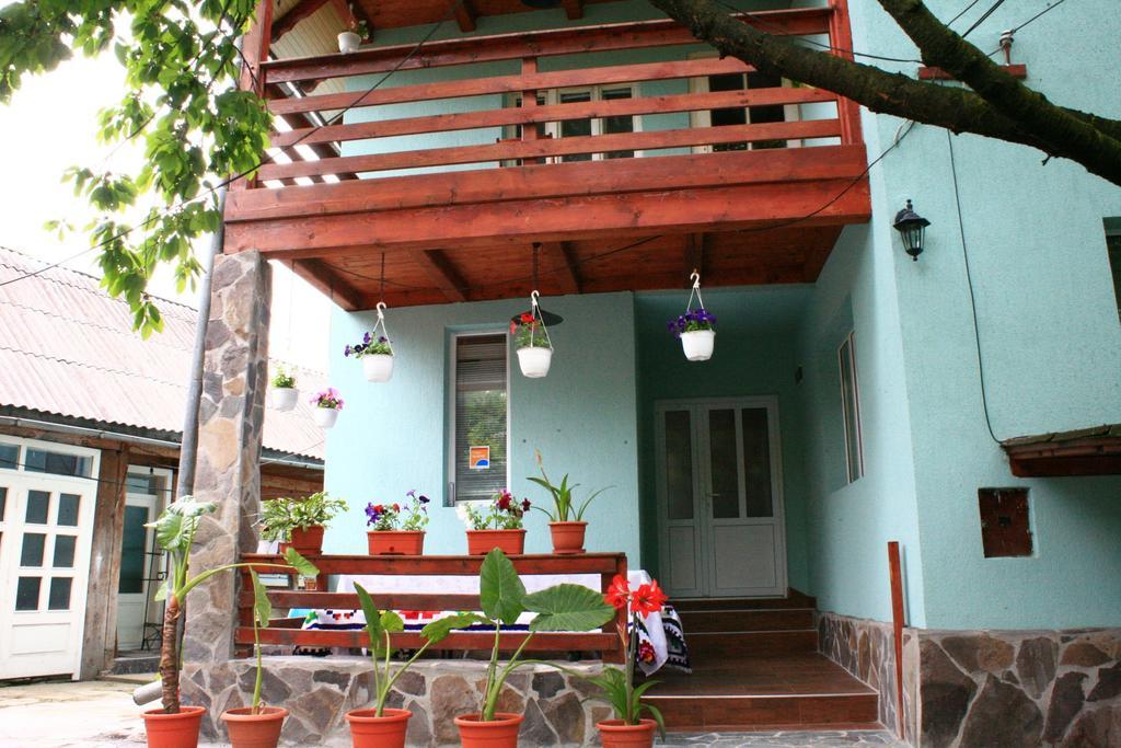 فندق Busta House Bogdan Vodă المظهر الخارجي الصورة