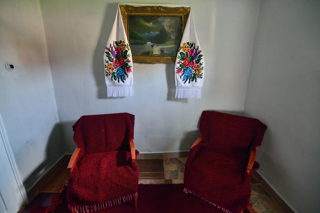 فندق Busta House Bogdan Vodă المظهر الخارجي الصورة